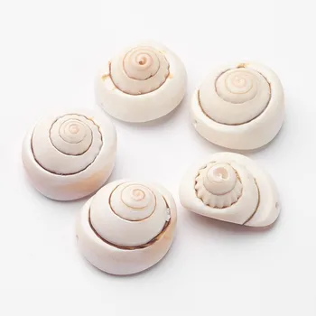 1000g Spirála Shell Korálky, Flat Round Mušle 12~22x7~13 mm Pro DIY Šperky Náhrdelníky Náramky Řemesel Dodávky