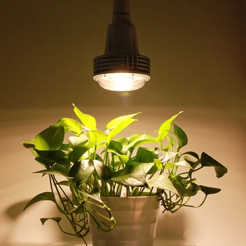 100W COB 150W Phytolamp LED Světla Rostou celé Spektrum Světla Teplá Rostlin Led světlo pro vnitřní růst kolonce květiny osvětlení fitolamp
