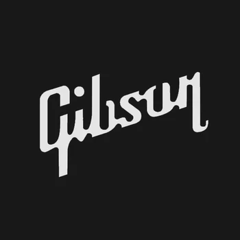 15 cm*9cm pro Gibson Usa Kytaru KK Vinyl Obtisk Nálepka Les Paul pro Auto, Notebook, Pouzdro na Kytaru, Funny Car Styling Grafiky