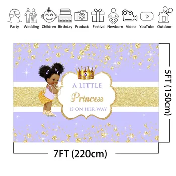 Africké Americké Dítě Osprchovat Pozadí pro Fotografování Malá Princezna Zlatá Koruna Strana Banner Photo Booth Pozadí