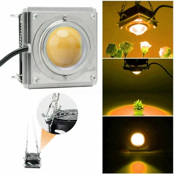 COB 110/220V 60W LED Grow Light USA/EU/AU/UK Plug Full Spectrum LED Vnitřní Zelenina Semeno Růst Rostlin Osvětlení Rostoucí Lampa#9