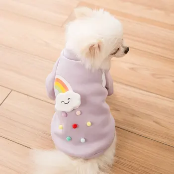 Rainbow S Kapucí Pet Pes Oblečení Karikatura Malé Oblečení Psi Teplé Sladké Roztomilé Bavlněné Čivava Tisku Podzim Fialová Chlapec Límec Perro
