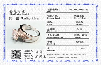YANHUI Evropský a Americký Styl Značky Real 925 Sterling Silver&Gold Snubní Prsteny Jemné Šperky CZ Ženy Prsteny R166-7