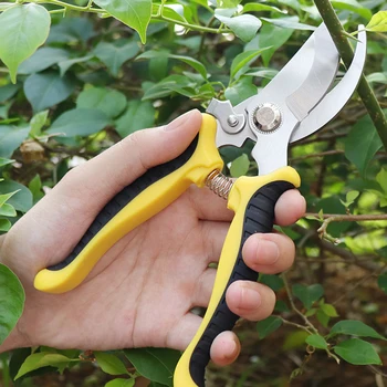 Zahradnictví Ovocné Nůžky Multi-function Tree Branch Nůžky Zahradní Nůžky Anti-skluzu A Práce-úsporné Ruční Zahradnické Nůžky