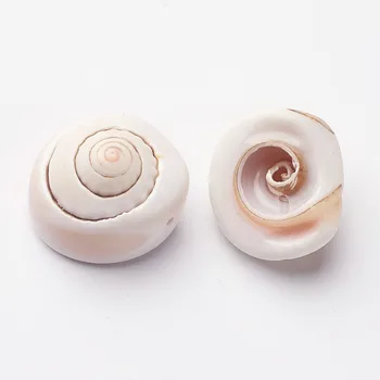 1000g Spirála Shell Korálky, Flat Round Mušle 12~22x7~13 mm Pro DIY Šperky Náhrdelníky Náramky Řemesel Dodávky