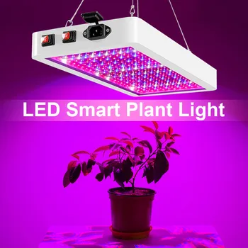 100W 200W Grow Světla LED Full Spectrum Vnitřní Hydropon Rostlin Lampa 390nm-730nm Vodotěsné Phytolamp Červená+Modrá+Bílá+IR+UV+Oranžová