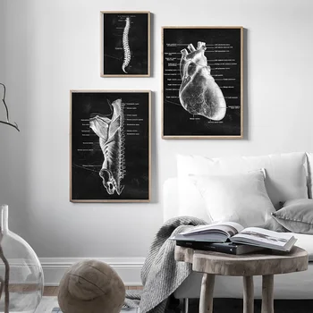 Anatomie Umění Lidské Srdce obratlů kostra Zeď Umění Tisk Malířské Plátno Nordic Plakát, Nástěnné Obrázky Pro Lékaře, Kanceláře Dekor