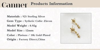 Canner 925 Sterling Silver Stud Náušnice Pro Ženy Bling INS Geometrický Polaris Náušnice Jemné Šperky Piercing pendientes W5