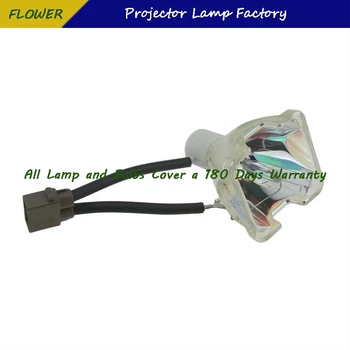 TLPLW11 Projektor Holé Lampu Pro TOSHIBA TLP-XC2500AU TLP-XD2700 TLP-X3000A TLP-XC3000A TLP-XD3000A TDP-T100 -180 dnů záruka