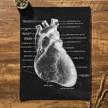 Anatomie Umění Lidské Srdce obratlů kostra Zeď Umění Tisk Malířské Plátno Nordic Plakát, Nástěnné Obrázky Pro Lékaře, Kanceláře Dekor