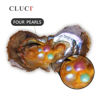 CLUCI 30ks 6-7mm Čtyřčata perly ústřice, 4 perly náhodné smíšené barvy mohou vytvořit náramky, prsteny, doprava Zdarma UPS WP177SB