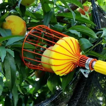 Hluboké Ovoce Picker Koš Koš Pohodlné Zahradnické Zahradnictví Oranžové Jablko Broskev Vybrat Nástroje Hotselling Z Nerezové Oceli 2019