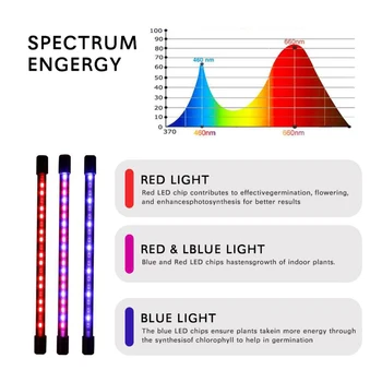 LED Grow Světlo 5V USB Phyto Lampa Full Spectrum Fitolampy S ovládáním Pro Rostliny Sazenice Květin Vnitřní Fitolamp Růst stan Box