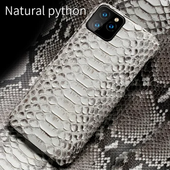 Pravé Kůže Pythonu kůže telefon pouzdro pro iphone 11 pro Max X XS Max XR 7 8 plus luxusní Ultra-tenký Kryt Pro iphone 12 pro max.