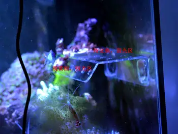 SPS phyto plus coral frag stojan stojan držák mini nano silný magnet opravit akvarijní ryby útes nádrže nakloněné rovině