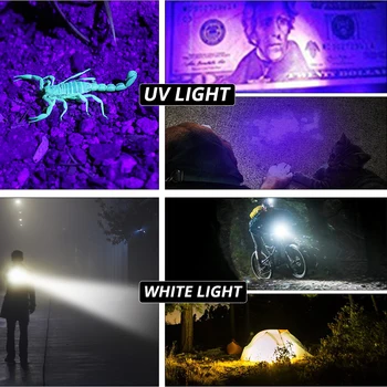 2v1 UV Svítilna Bílá LED Svítilna Linternas 395nm Ultrafialové Moči Detektor Pro Kempování Pet Moči Chytit Scorpions