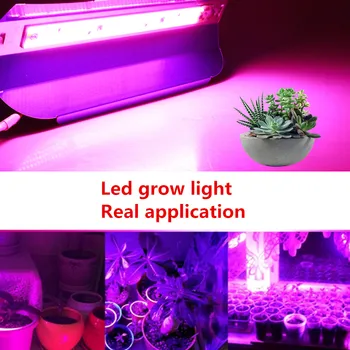 50W/100W High Power COB LED Světla Rostou celé spektrum Vodotěsné 220V pro Vnitřní Skleníkových růst stan růst rostlin led světlo