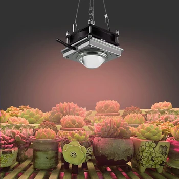 COB 110/220V 60W LED Grow Light USA/EU/AU/UK Plug Full Spectrum LED Vnitřní Zelenina Semeno Růst Rostlin Osvětlení Rostoucí Lampa#9