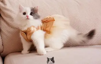 Hot Prodej Bling Bling Cat Svatební Šaty Pes, Kočka Tutu Šaty Party Pet oblečení pro malé Kočka Pet