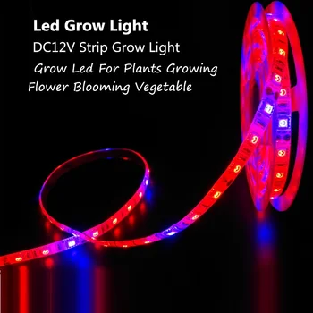 ReBlue Rostou Pás Fitolampy Rostlina Světlo DC12V Led Pro Růst Rostlin Světlo Phyto Lampy Plné Spektrum vodotěsné LED Strip kvetení