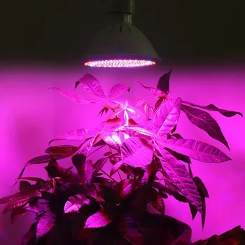 6/10/15/20W Full Spectrum LED Plant Grow Light E27 Rostlin Lampa Fitolamp pro Vnitřní Sazenice Květin Fitolampy Růst Stan Box