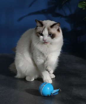 Kočka, Vtipné Kočka Míč Inteligentní Elektrické Kousat Odolné A Odolné proti Pádu Peří Válcování Zářící Duha Světlo USB Nabíjecí Hračka pro Kočky