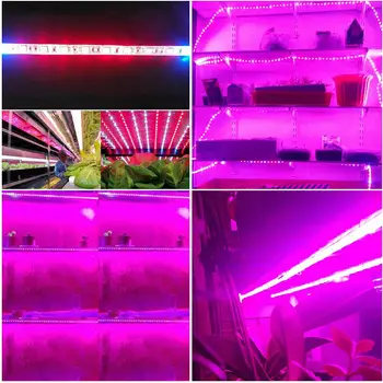 ReBlue Rostou Pás Fitolampy Rostlina Světlo DC12V Led Pro Růst Rostlin Světlo Phyto Lampy Plné Spektrum vodotěsné LED Strip kvetení