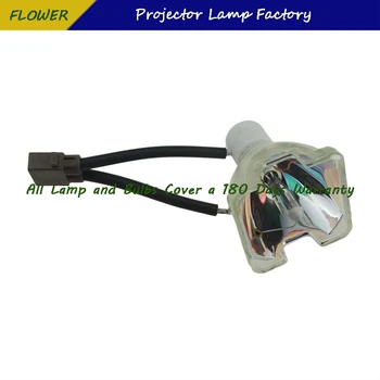 TLPLW11 Projektor Holé Lampu Pro TOSHIBA TLP-XC2500AU TLP-XD2700 TLP-X3000A TLP-XC3000A TLP-XD3000A TDP-T100 -180 dnů záruka