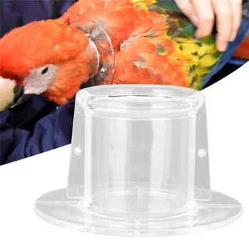 Transparentní Barva Na Ochranu Ptáků Límec Papoušek Anti-Bite Peří Ptáků Obojek Anti-Sběr Peří Kroužek Chovatelství