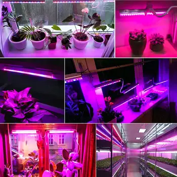 Vodotěsné 1-5M 5050 SMD Růst Rostlin LED Strip Světlo LED Phyto Lampy Pro Skleníkových Hydroponické Rostliny celé Spektrum Červené A Modré, 5:1