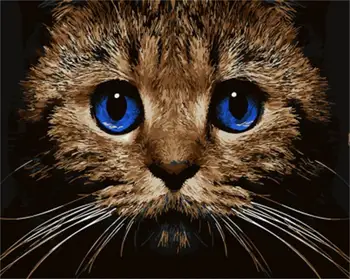 DRAWJOY Zarámovaný Zvíře Kočka Malování A Kaligrafie DIY Malování Podle Čísel Zbarvení Čísla Na Plátně Pro Domácí Dekor